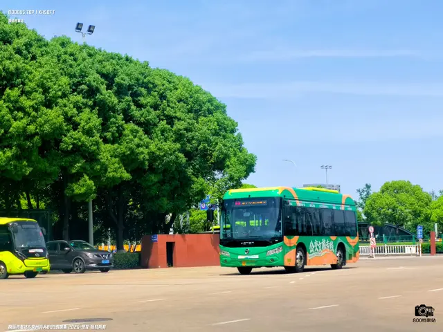 800BUS