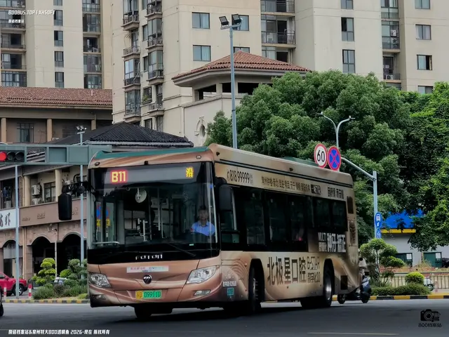 800BUS