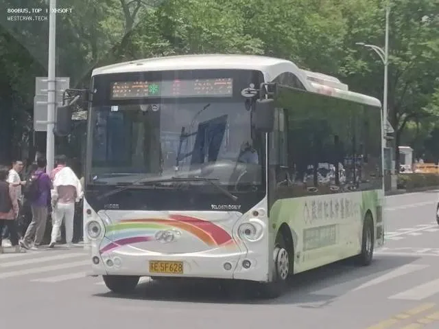 800BUS