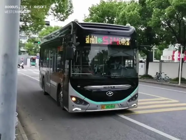 800BUS