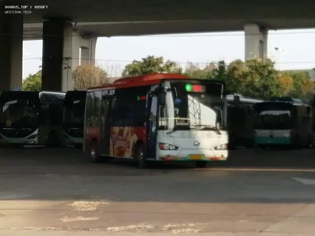 800BUS