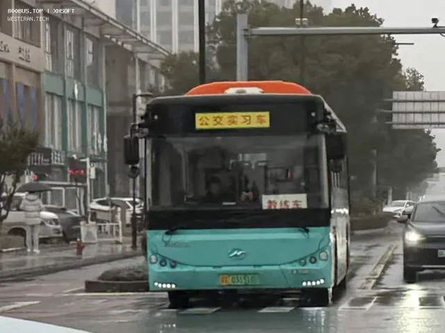 800BUS