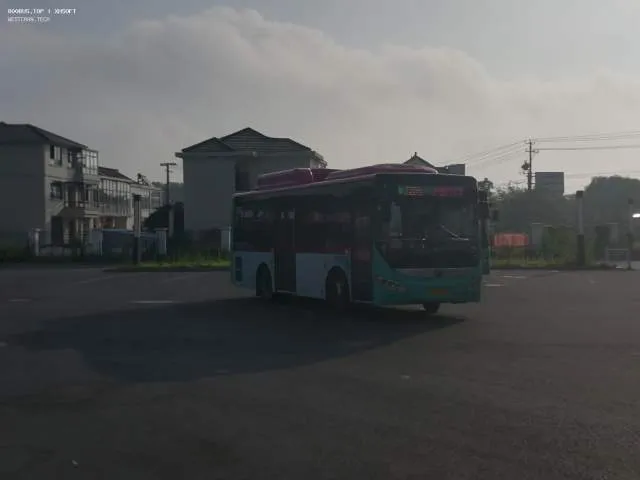 800BUS
