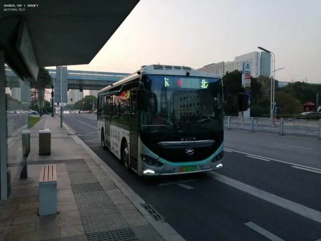 800BUS