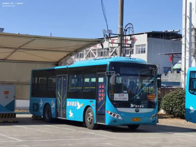 800BUS