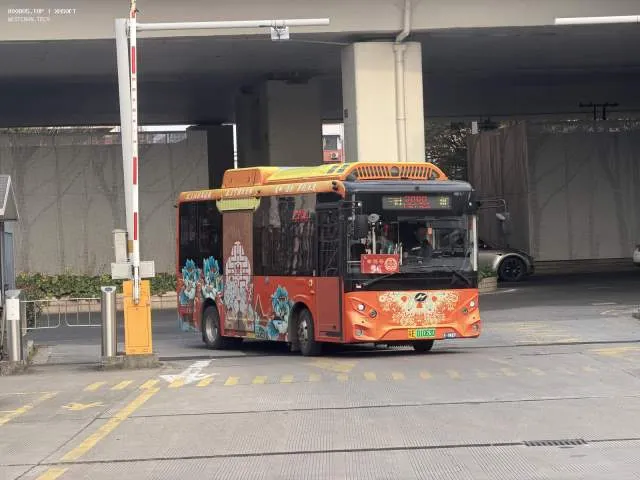 800BUS