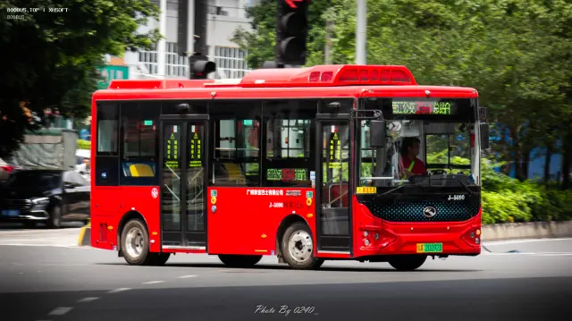 800BUS