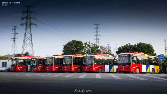800BUS