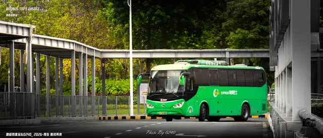 800BUS