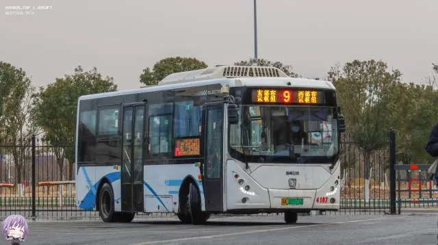 800BUS