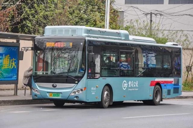 800BUS
