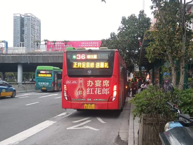 800BUS