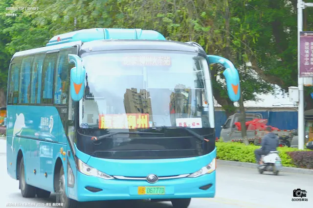 800BUS