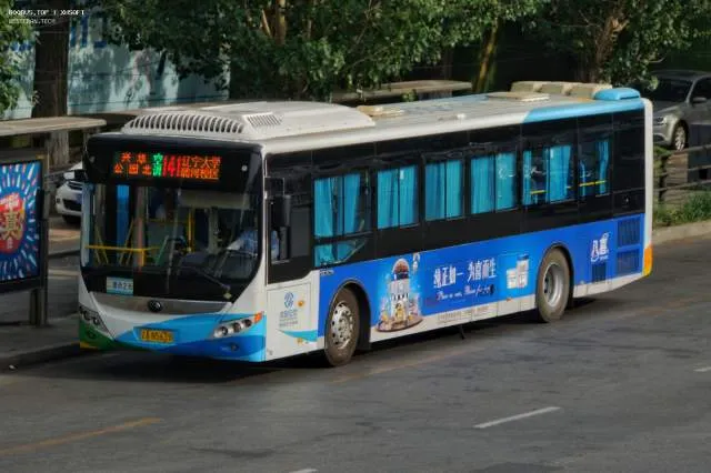 800BUS