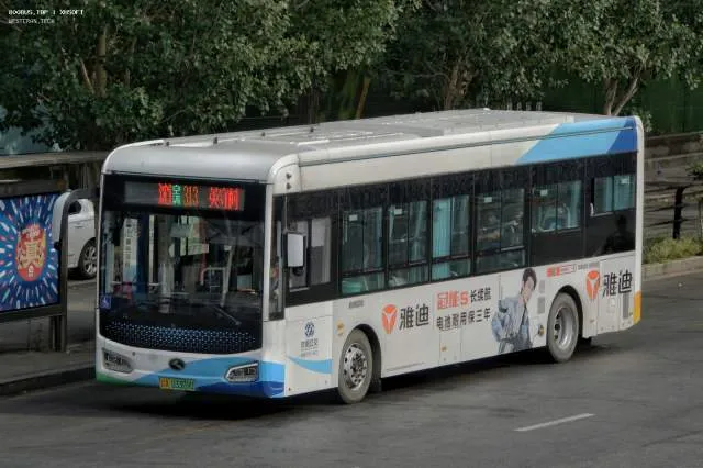 800BUS
