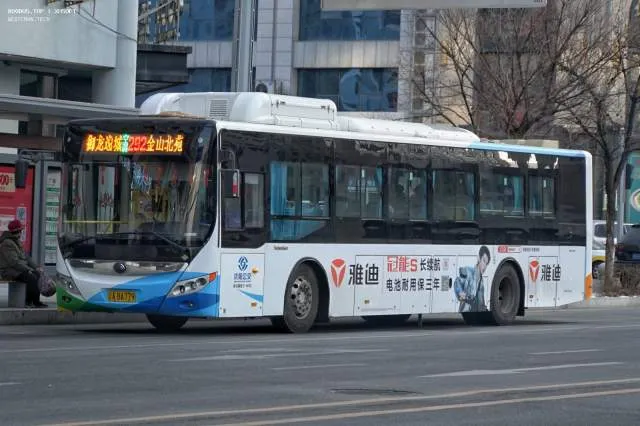 800BUS