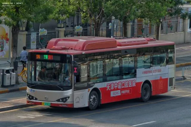 800BUS