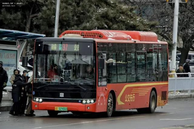 辽E·02966D