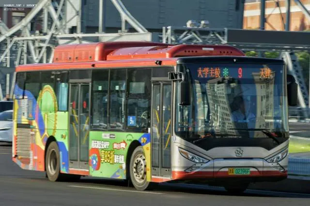 800BUS