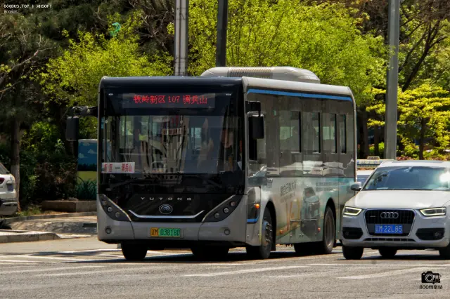 800BUS