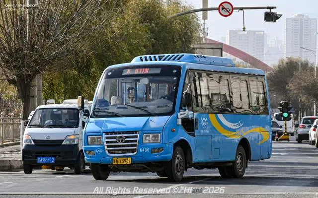 800BUS
