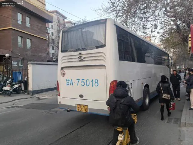 800BUS