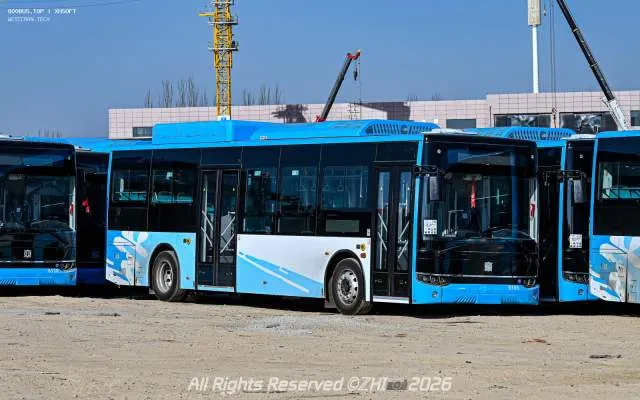 800BUS