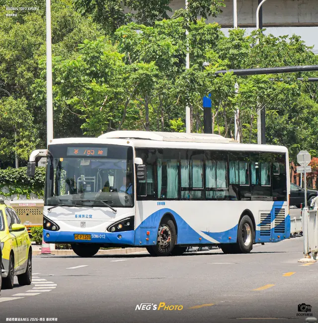800BUS