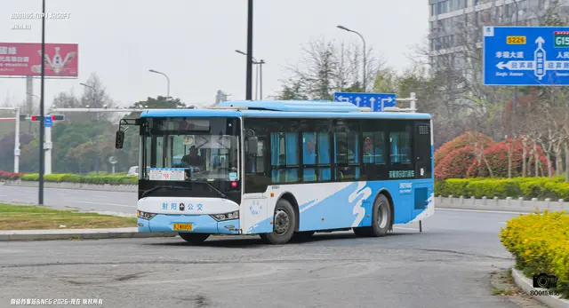 800BUS