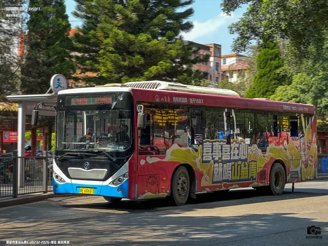 800BUS