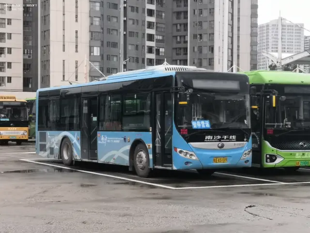 800BUS