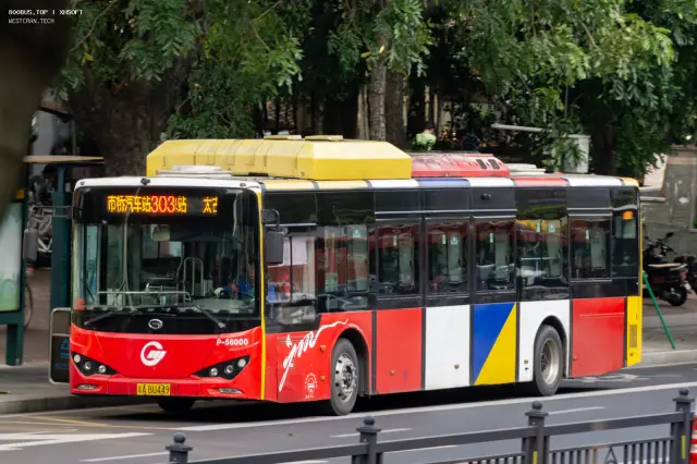 800BUS