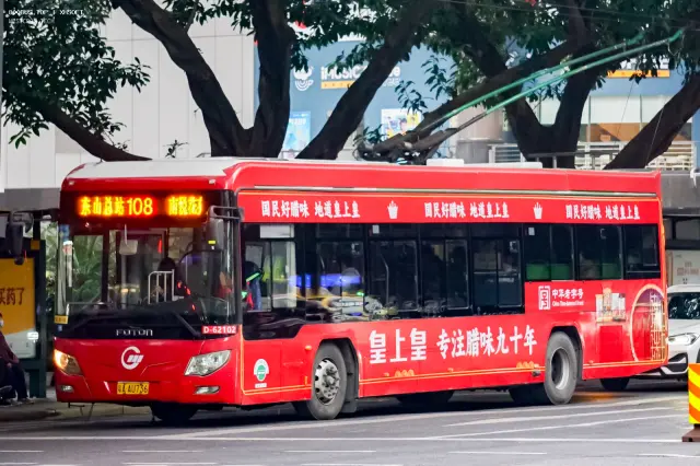 800BUS