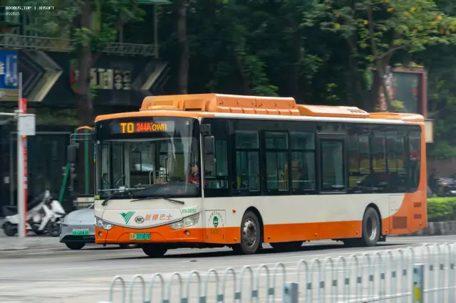 800BUS