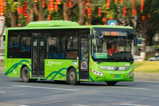 800BUS