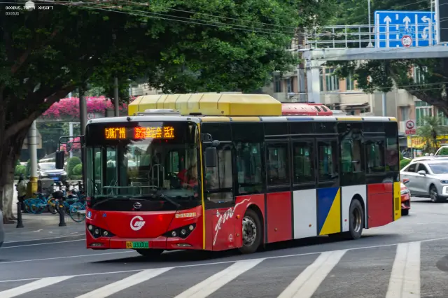 800BUS