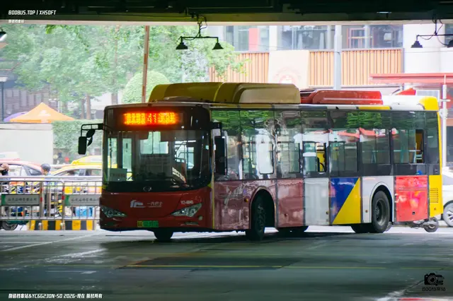 800BUS