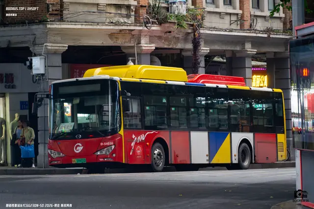 800BUS