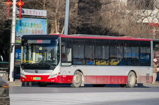 800BUS