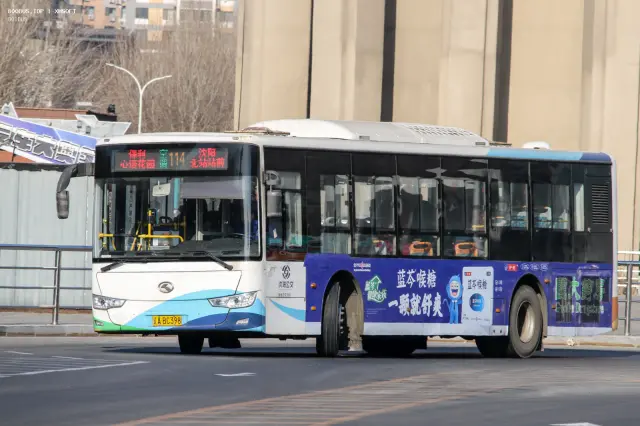 800BUS