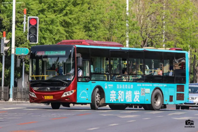 800BUS