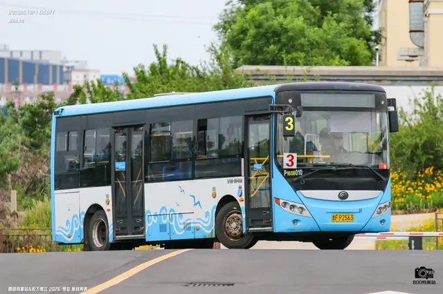 800BUS