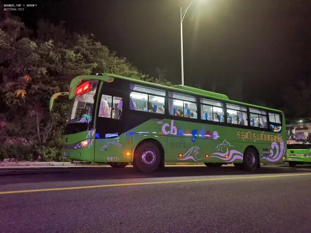 800BUS