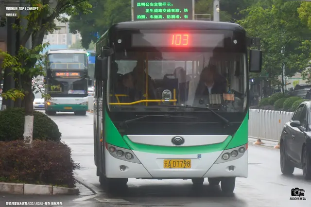800BUS