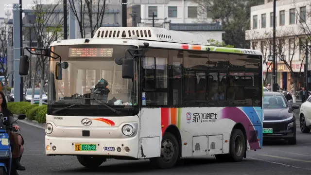 800BUS
