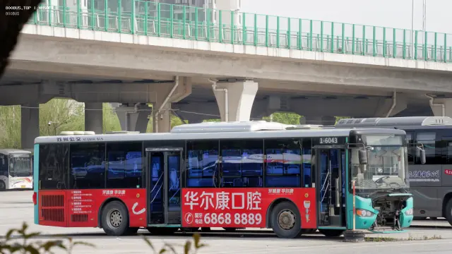 800BUS