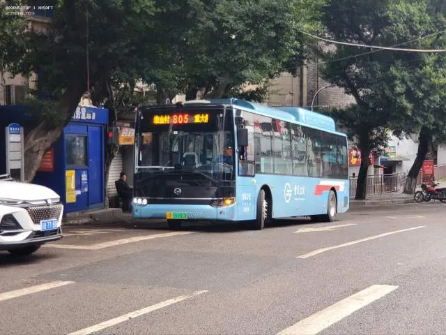 渝A 06981D