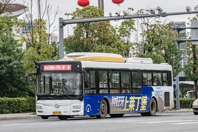 800BUS