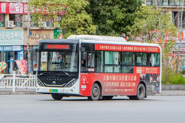 800BUS