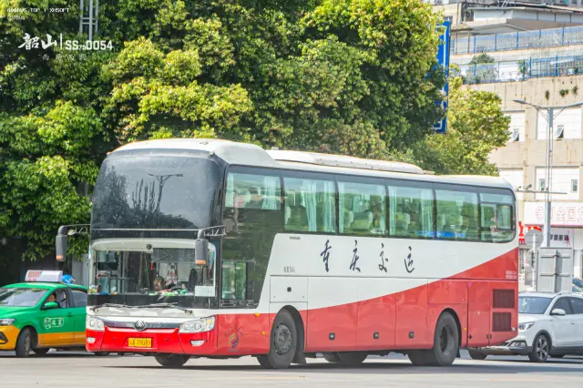 800BUS